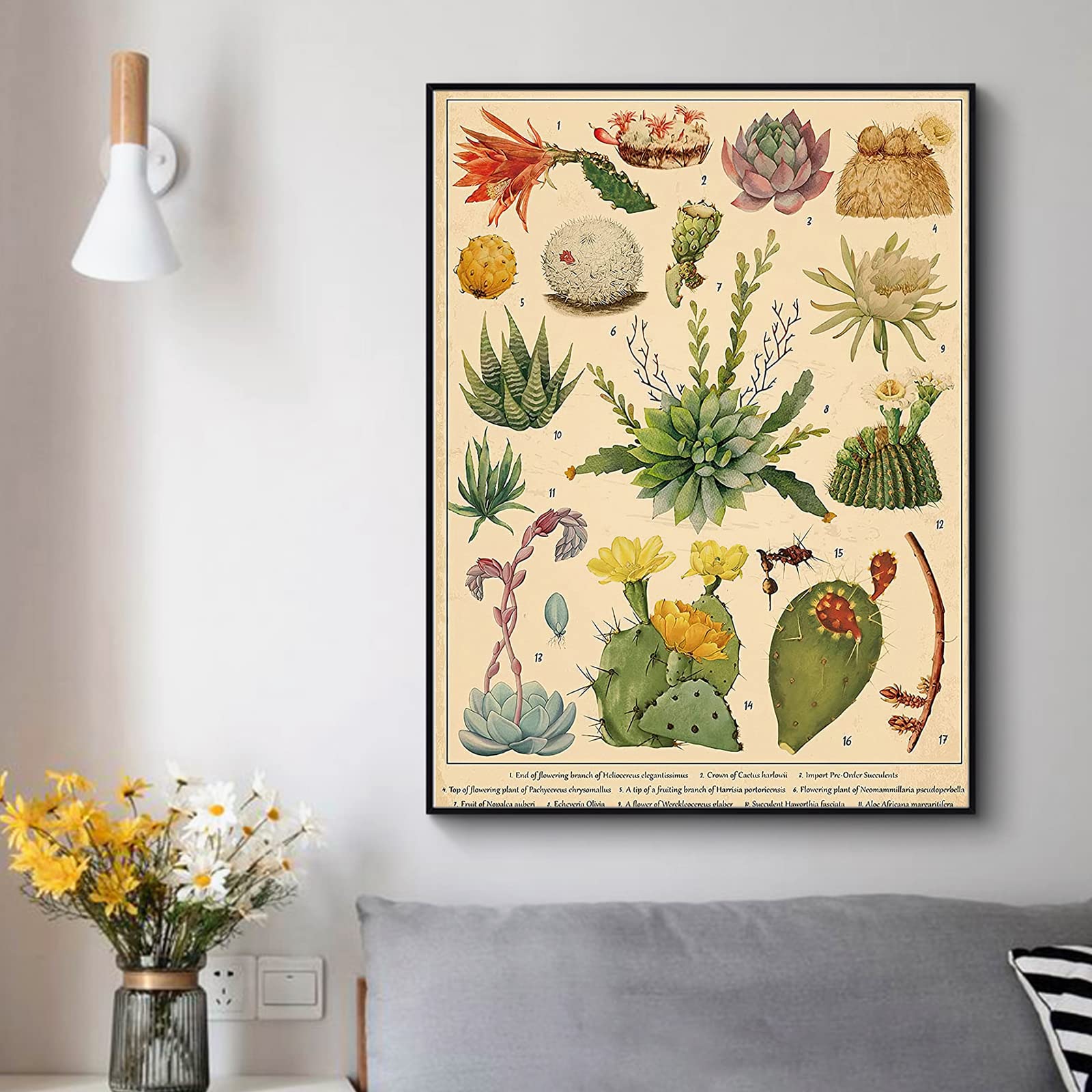 Amazon.co.jp: ZZPT ヴィンテージ サボテン 多肉植物 ポスター