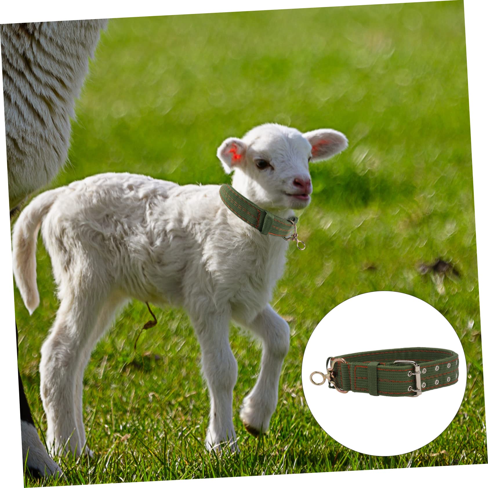 ifundom Collier Épais pour Animaux de Ferme Collier Ajustable Toile pour Moutons Vaches et Chevaux Confort et Sécurité Fourniture Durable
