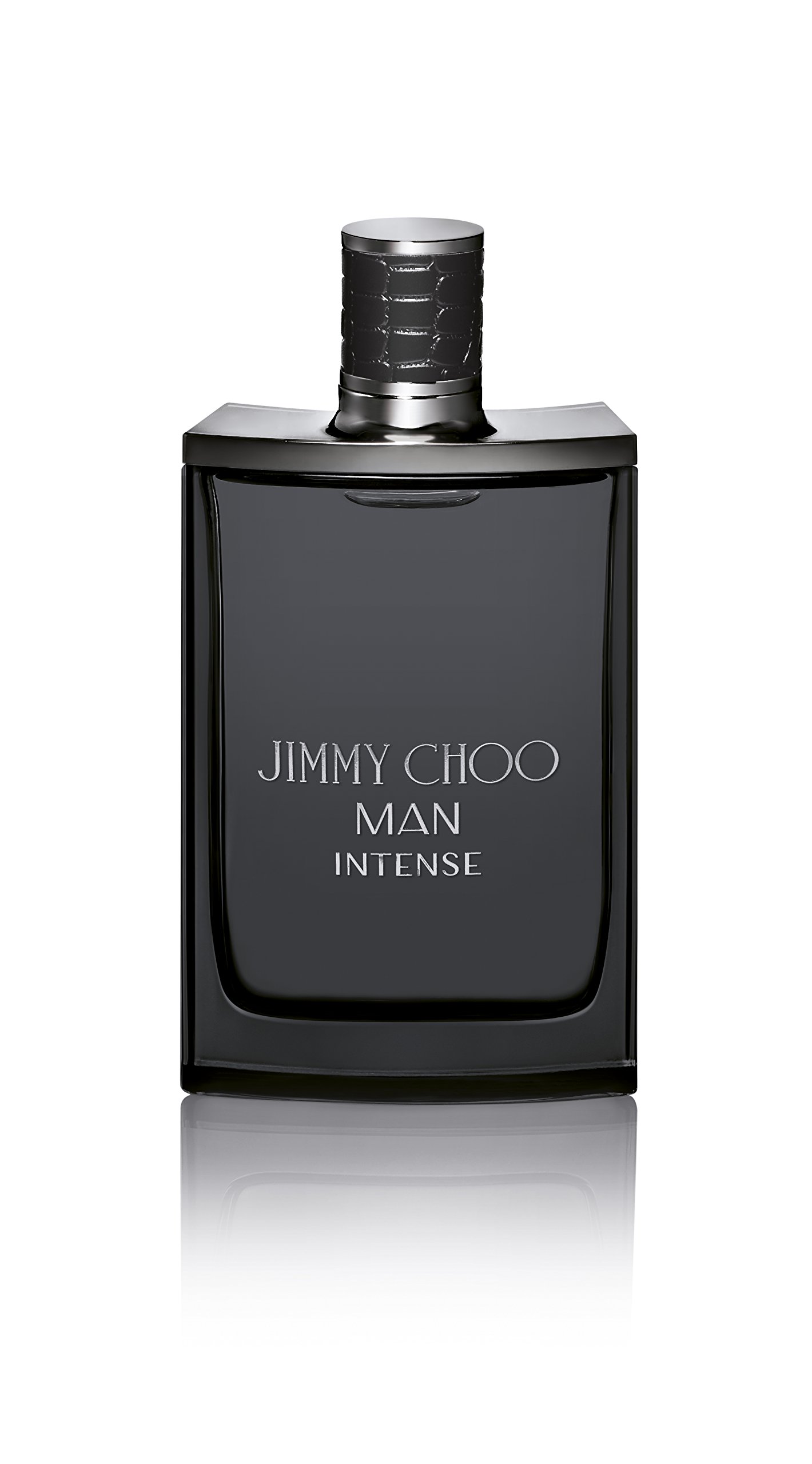 jimmy choo man eau de toilette 100ml