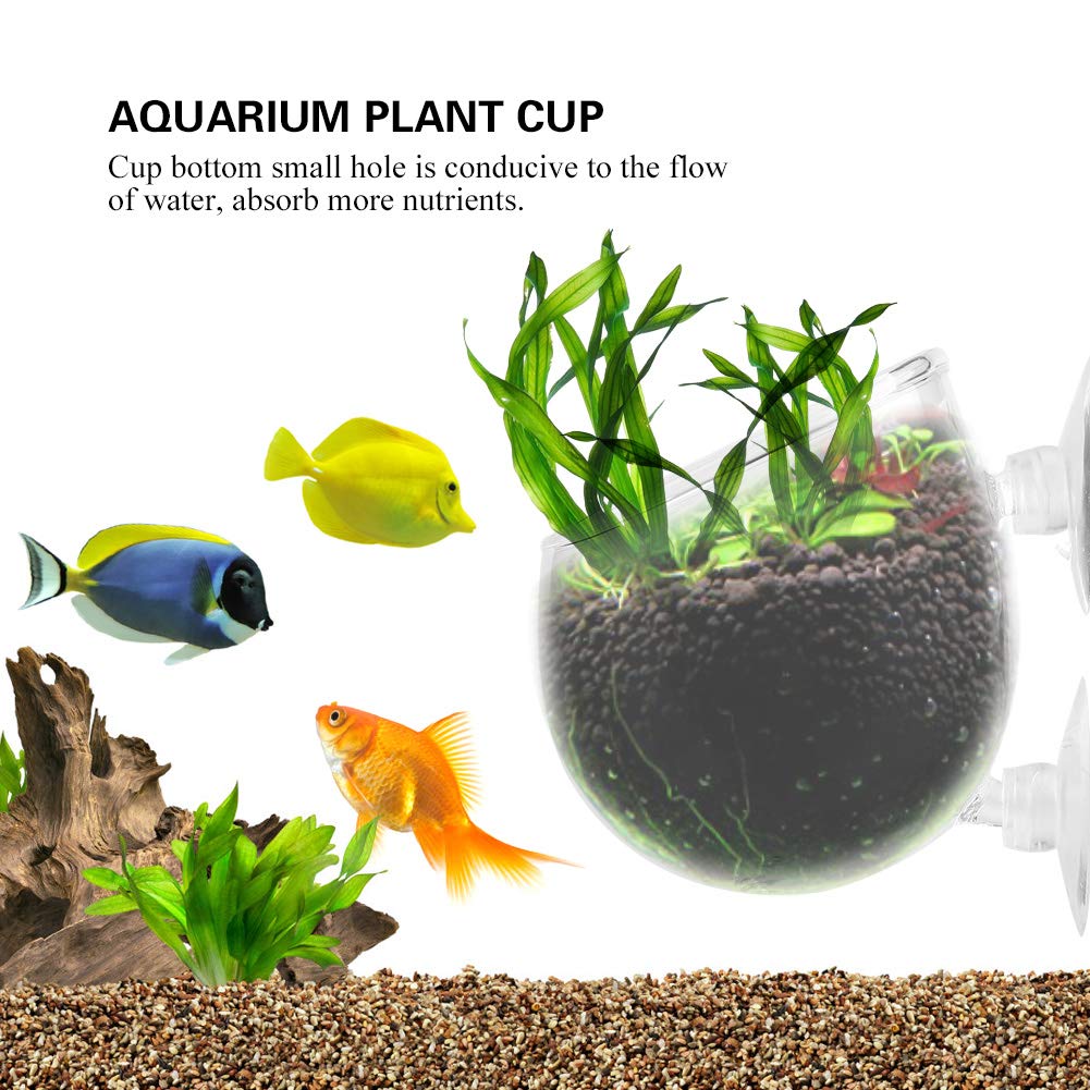 Fashionclubs Planta Acuática Cristal de Vidrio para Acuario Tanque de Peces con 2 Ventosas Accesorio Decorativo Cultivo Plantas Vivas Cristal Vidrio Lavamanos Rojo