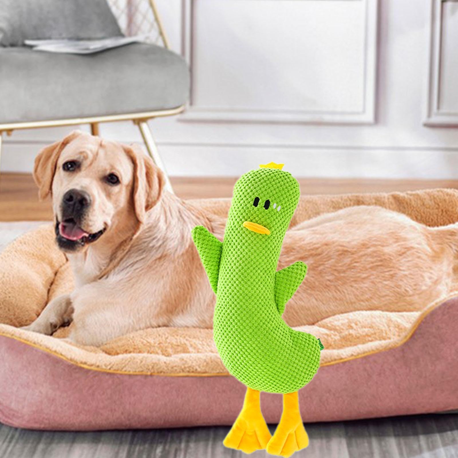 Jouet à Mâcher pour Chien Jouet Interactif Sonore d'exercice pour Animaux de Compagnie en Forme de Canard avec Couineur Intégré Approprié pour Offrir, S