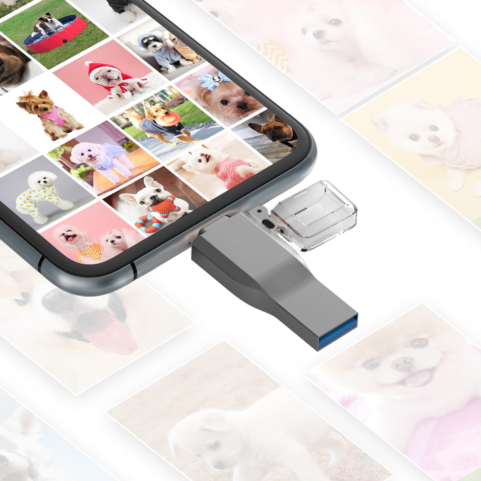 Chasisna Memoria Esterna da 64GB, Compatibile con phone, pad, tablet, PC e smartphone Android con supporto USB C. Design 3 in 1, trasferimento rapido di foto e video.