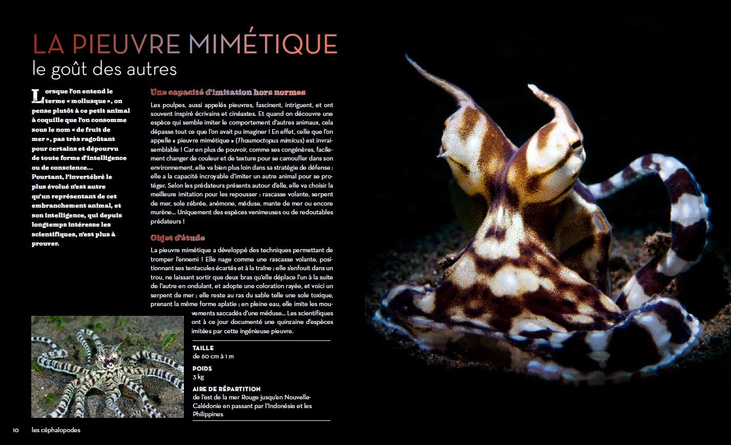 Fascinantes créatures, la vie secrète des animaux des profondeurs et des abysses