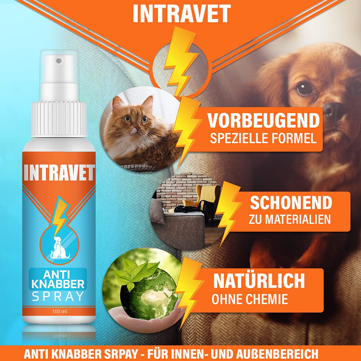 Saint Nutrition Intravet Anti Knabber Spray - Fernhaltespray für Katzen und Hunde – Katzenabwehr & Hundeabwehr für Indoor und Outdoor – natürliche Inhaltsstoffe, Nicht schädlich für Tiere