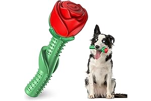 UCHO Dog Toys for Valentines Day