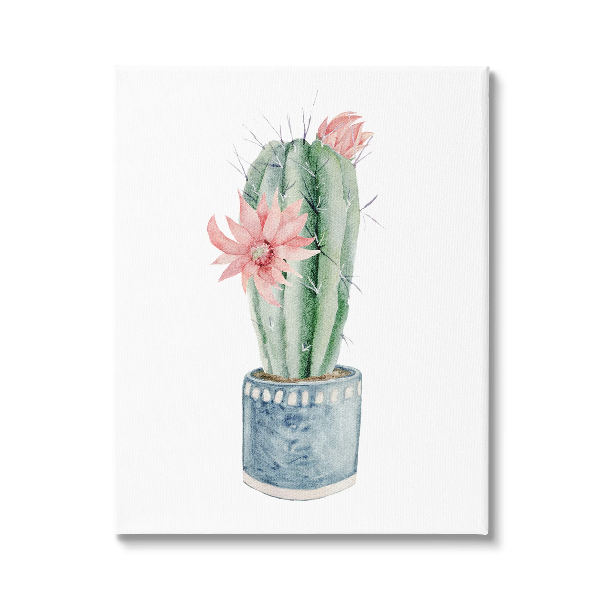 Amazon｜かわいいミニマルサボテンの花 植物 水彩画イラスト、Mela Fay