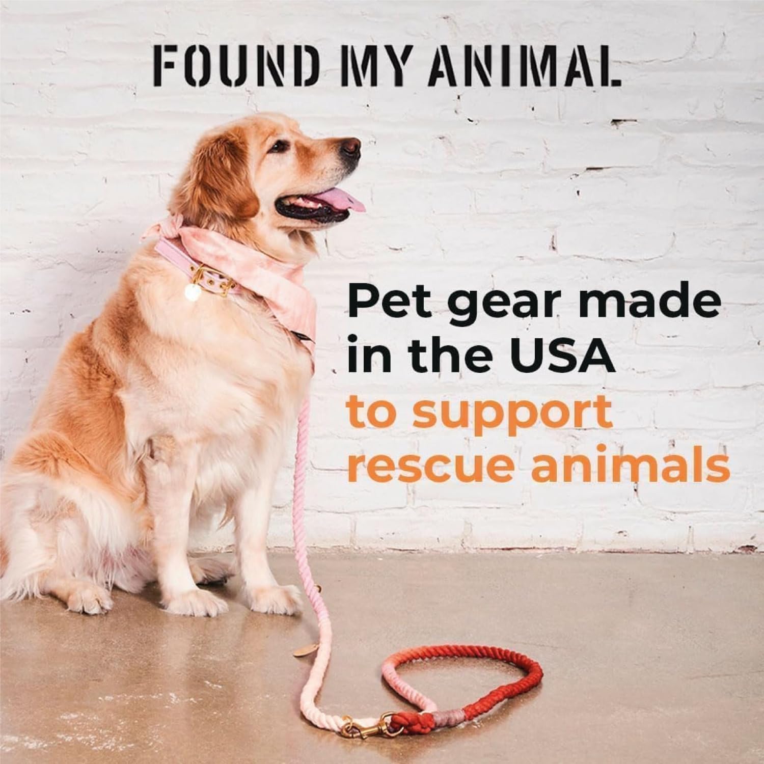 Found My Animal - The Original Cotton Rope Dog Leash (Robins Egg Blue, Medium) - Solid Italian Bronze Bolt Snaps - Heavy Duty Dog Training Leash - Standard 5FT Puppy Leash - Handcrafted in USA