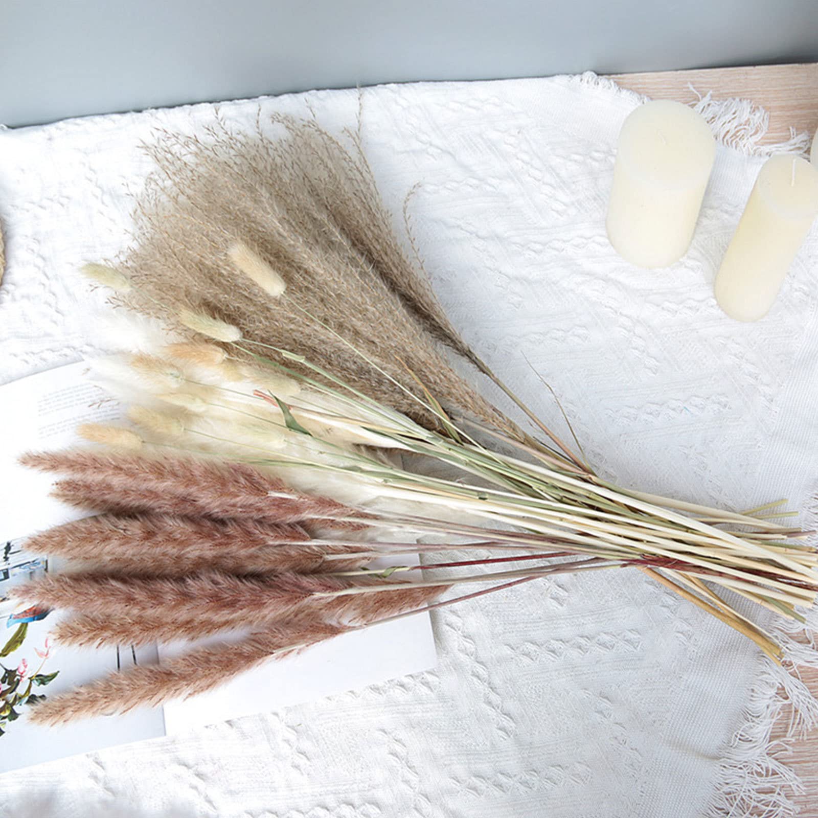 Decoración de Hierba de Pampa Natural de 80 Tallos – Colas de Conejo secas, Hierba de caña Beige para decoración del hogar, arreglos Florales, decoración Bohemia, 20 Pulgadas de Alto