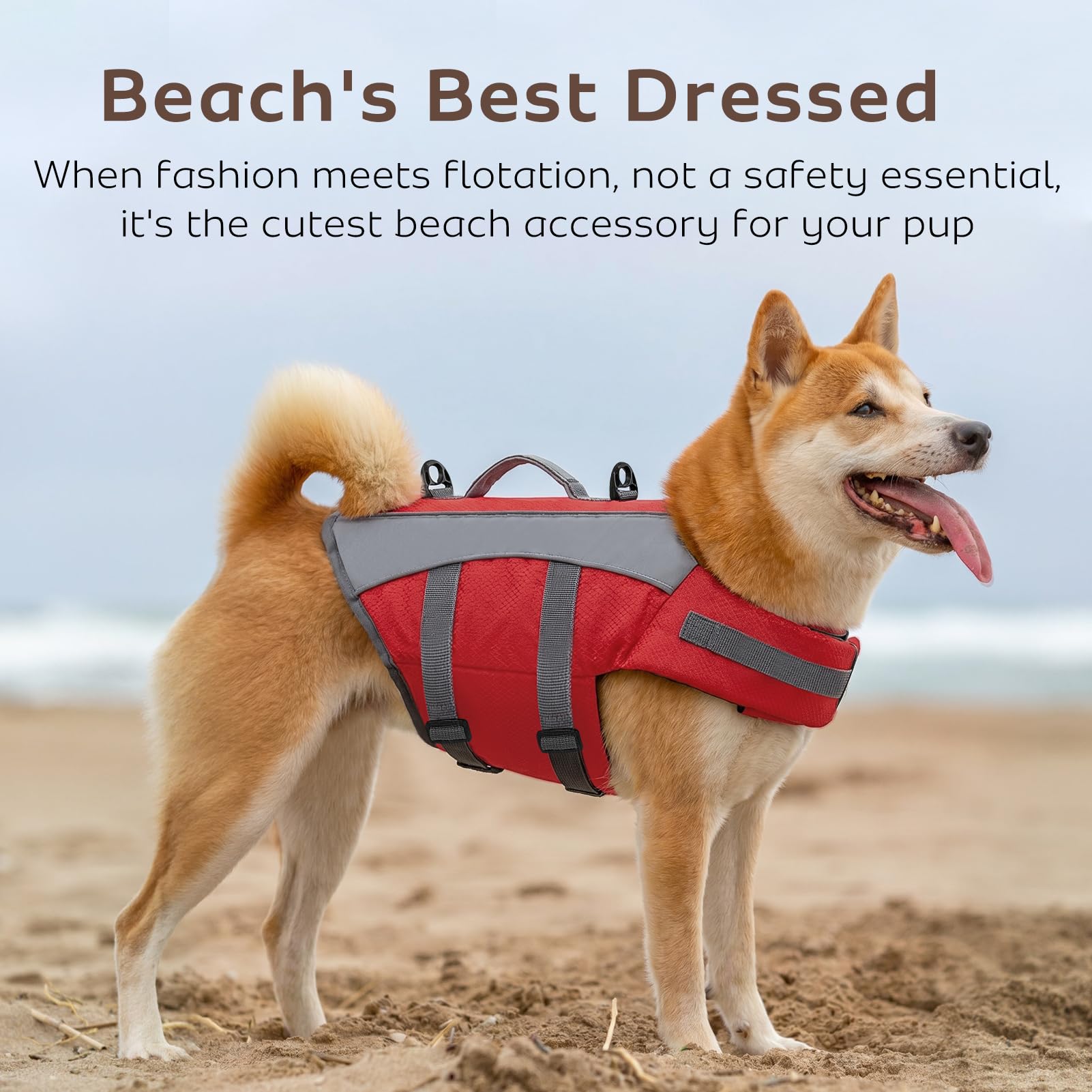 CITÉTOILE Chaleco Salvavidas para Perros - Chaleco Reflectante Flotante con Asa, Flotadores y Correas Ajustables para Seguridad en Agua, Piscina, Rojo, XXL