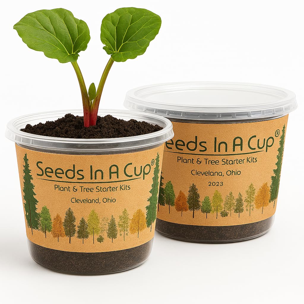 Amazon.com : Rhubarb Grow Kit  Seeds In A Cup - Plant Starter Set  Grow  Rhubarb from Seed Indoors or Outdoors  Organic Soil & Recyclable Mini  Greenhouse  Easy Gardening