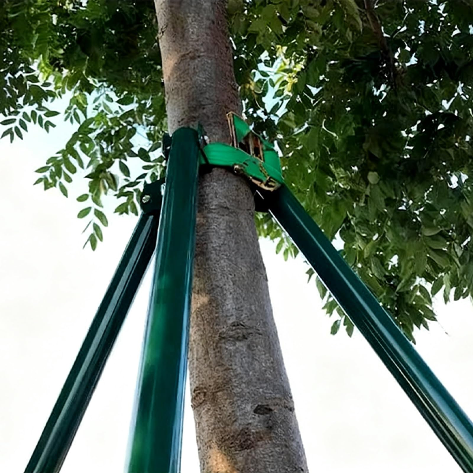 LZMZMQ Baumstütze Baumstützpfosten-Set 1/2/3 M, Robuste, Verstellbare Baumstützen, Große Baumstützenhalterung Zur Stabilisierung Von Pflanzen Im Freien(1.2m/3.9ft)