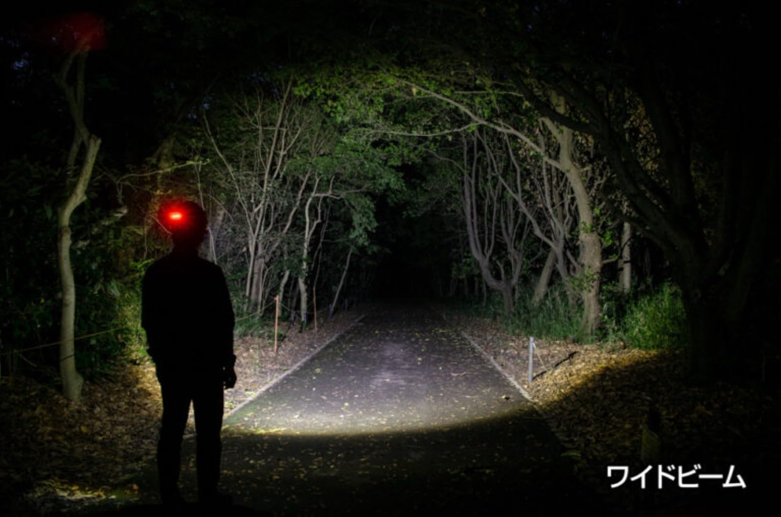 Amazon.co.jp: GENTOS(ジェントス) LED ヘッドライト USB充電式 【明る