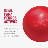 Ver la foto 8