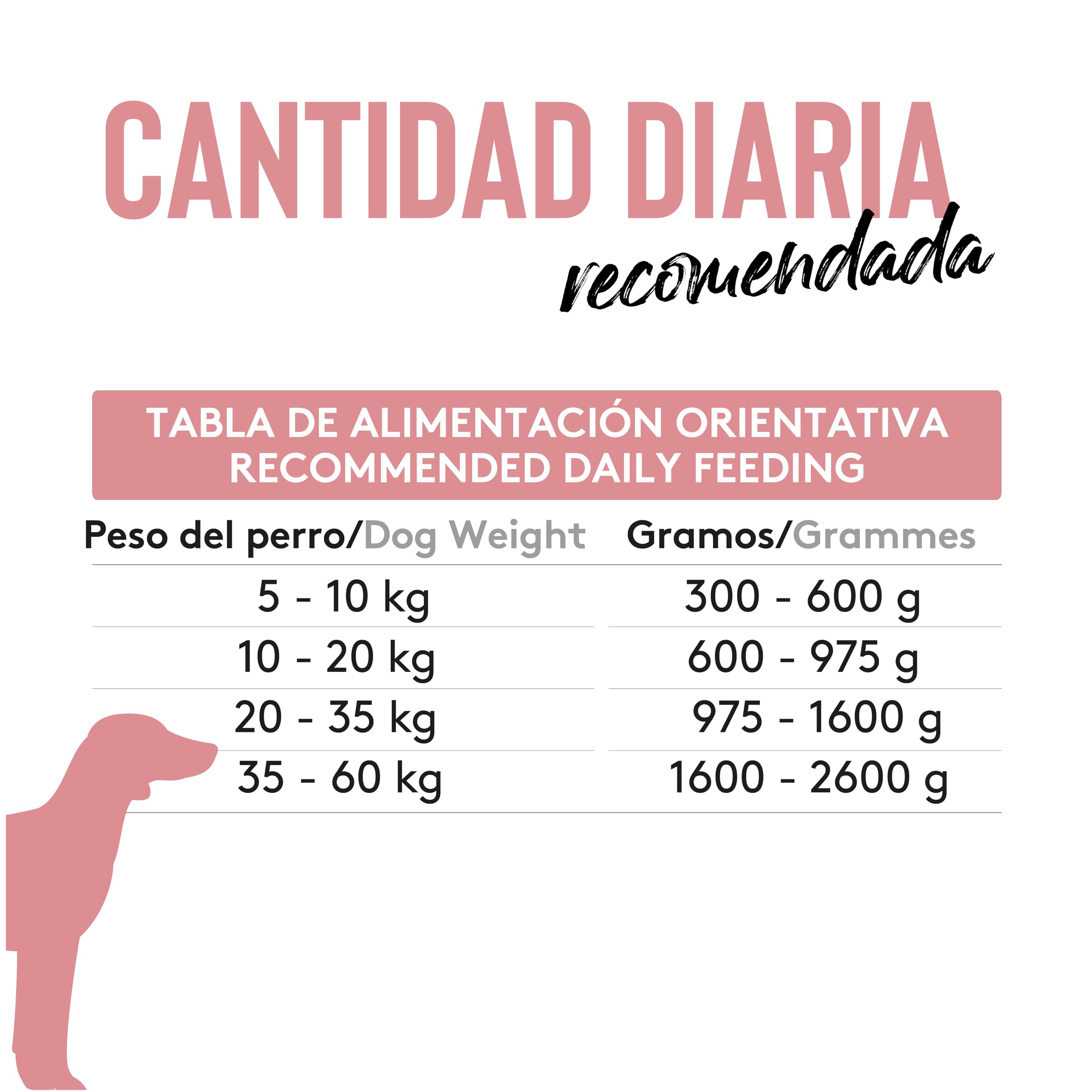 Dibaq Sense Grain Free Cordero, 12 uds x 380 gr