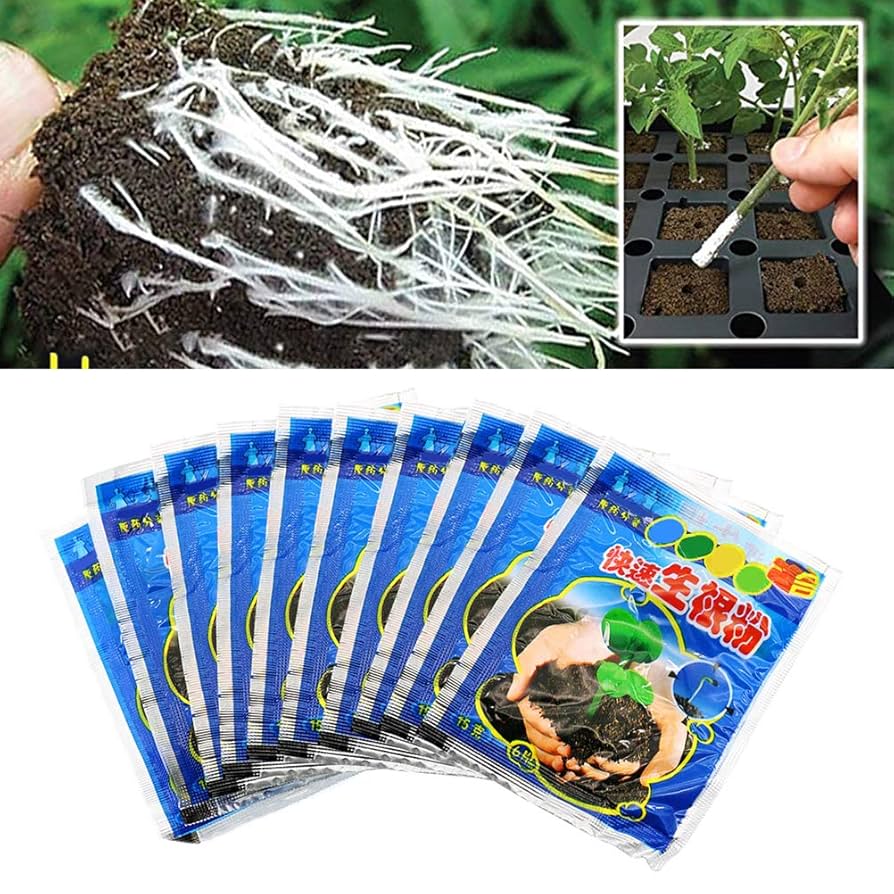 Tixiyu Rooting Hormone Powder #8 | for Moderately Difficult to Root Plants | Fastest IBA Rooting Powder Compound for Strong and Healthy Roots : Amazon.co.uk: Garden