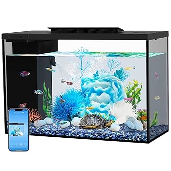 アクアリウム 1式セット Amazon | Yjhyuxi 水槽 セット 小型 アクアリウム【インボイス