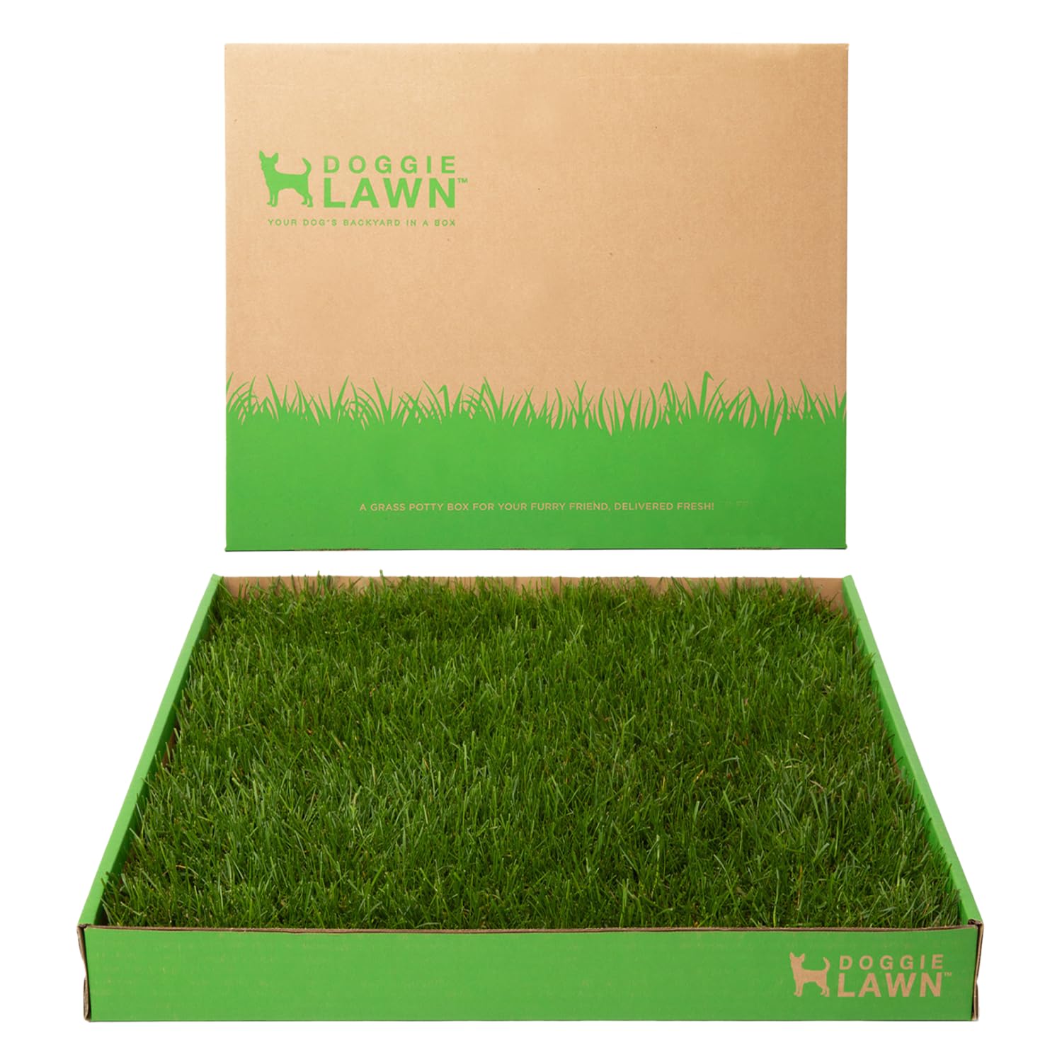 DoggieLawn Real Grass Puppy Pee Pads - Potty Training Pads for Dogs & Puppies - Indoor Grass Dog Potty for Apartments & Bad Weather - Natural Living Grass - XLarge 24 x 48 Inches - Made in USA