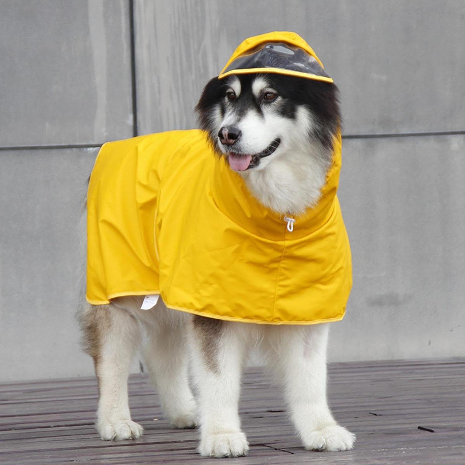 Impermeable con Capucha, Poncho para Perros, Práctico Impermeable para Cachorros Y Perros de Tamaño Mediano, 7XL
