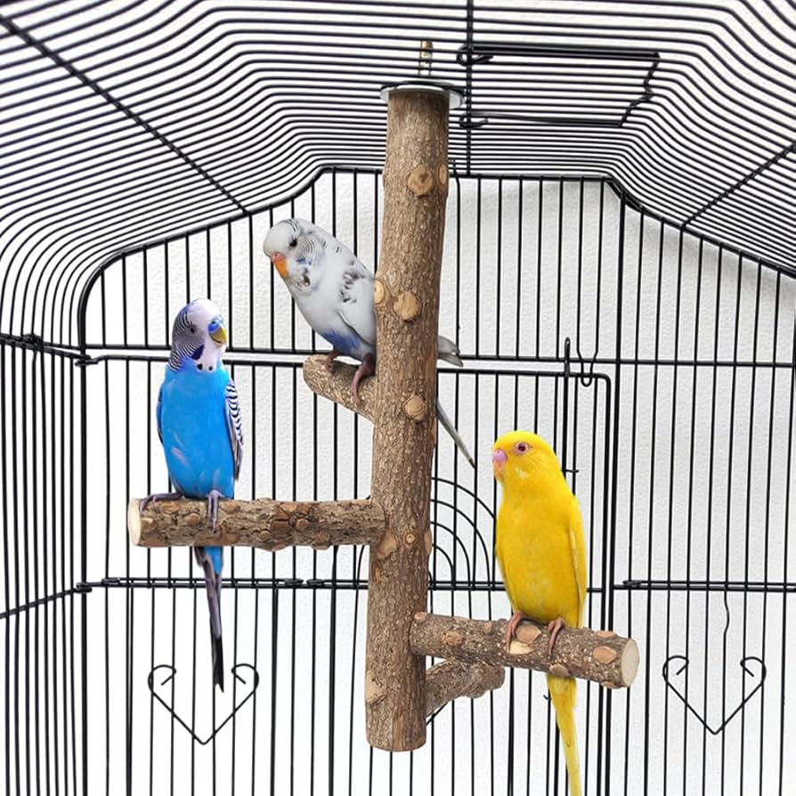 Amazon | IYOIYA 鳥 止まり木 ケージ用 吊り下げ 止まり木メリー