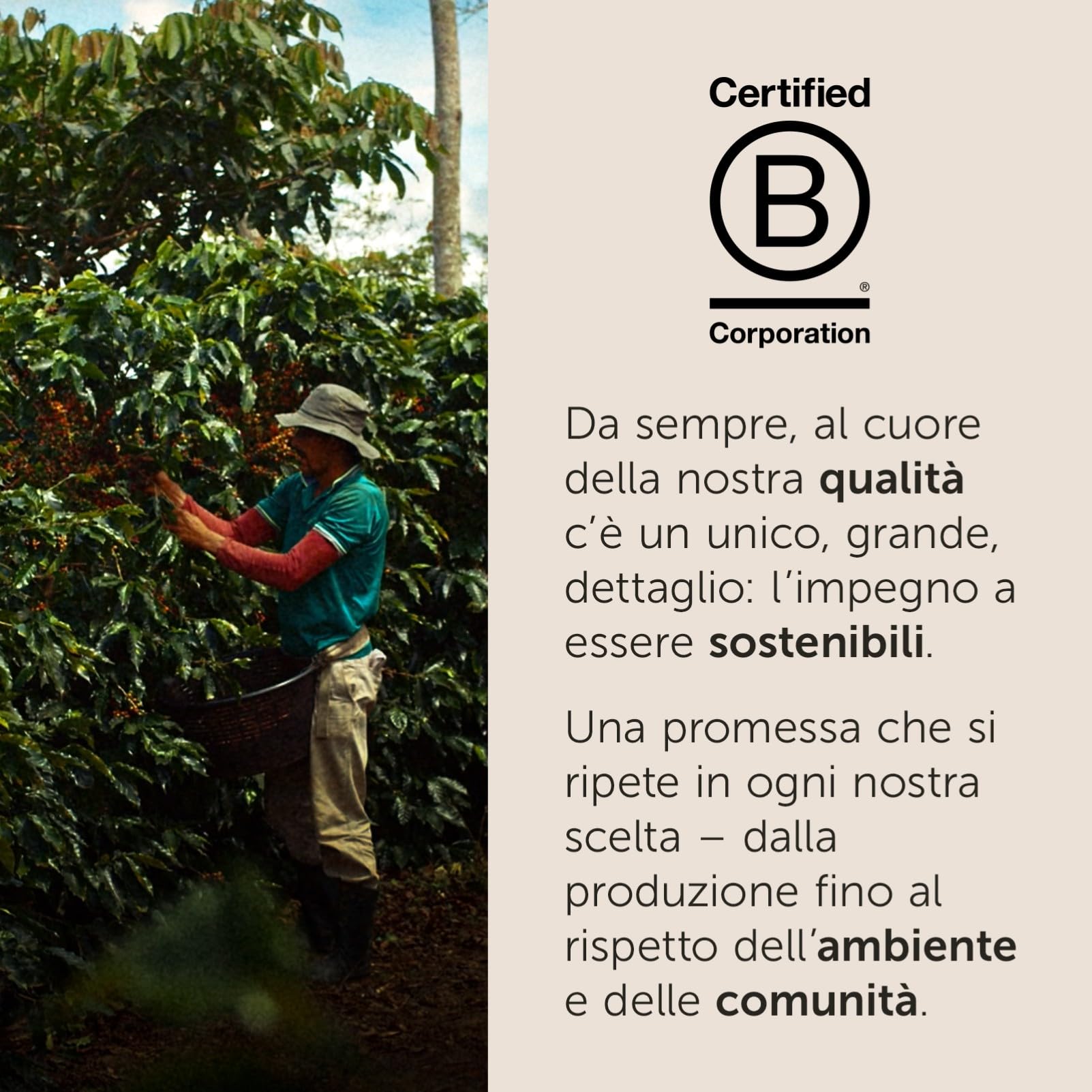 illy, Caffè in Capsule Compatibili in Alluminio INTENSO, 100% Arabica con Note di Cacao e Frutta Secca, Retrogusto Pieno e Corposo, 10 Confezioni da 10 (100 Capsule Totali)
