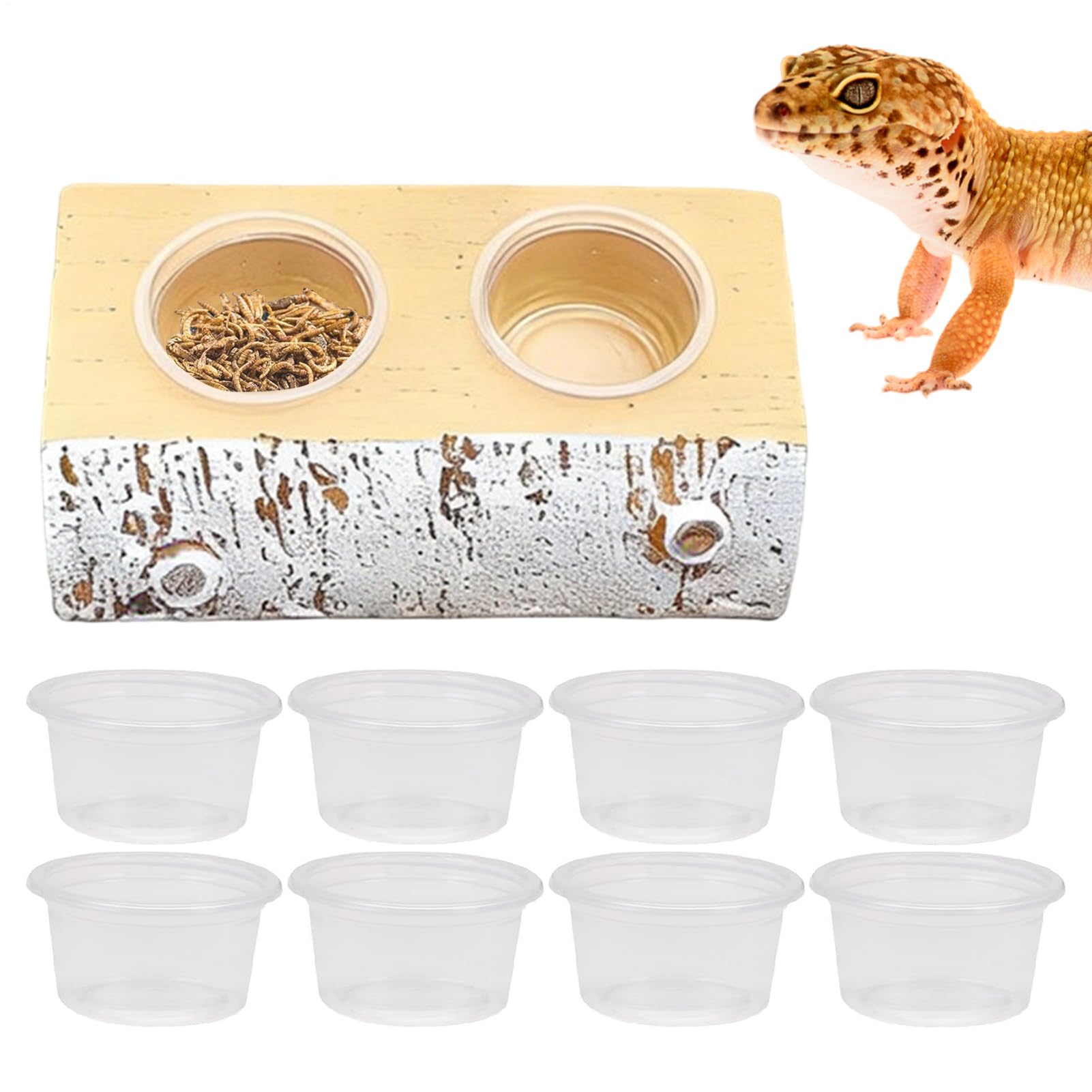 Gamelle magnétique gecko avec 10 bols pour lézard et serpent