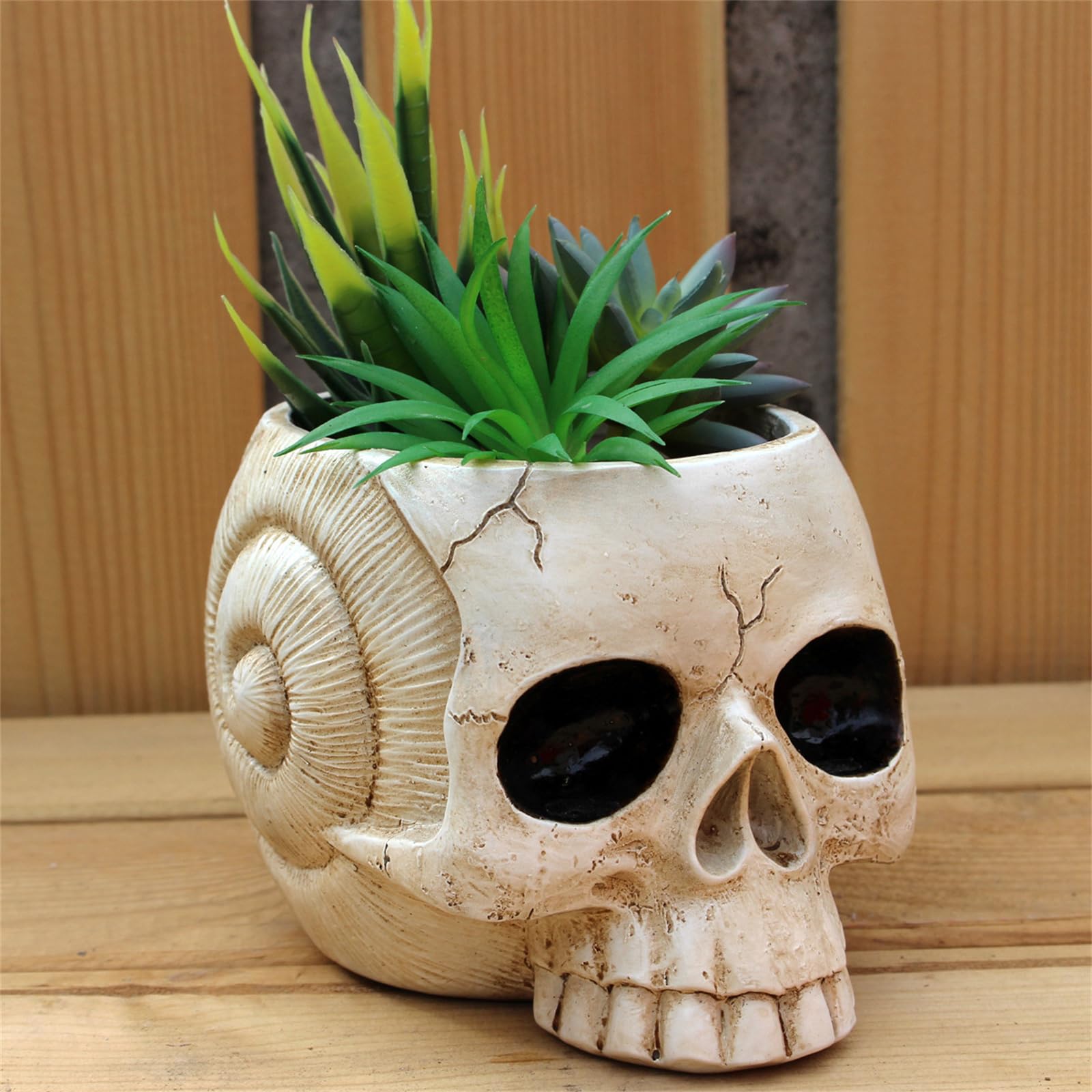 スカル型 プランター ／ 植木鉢