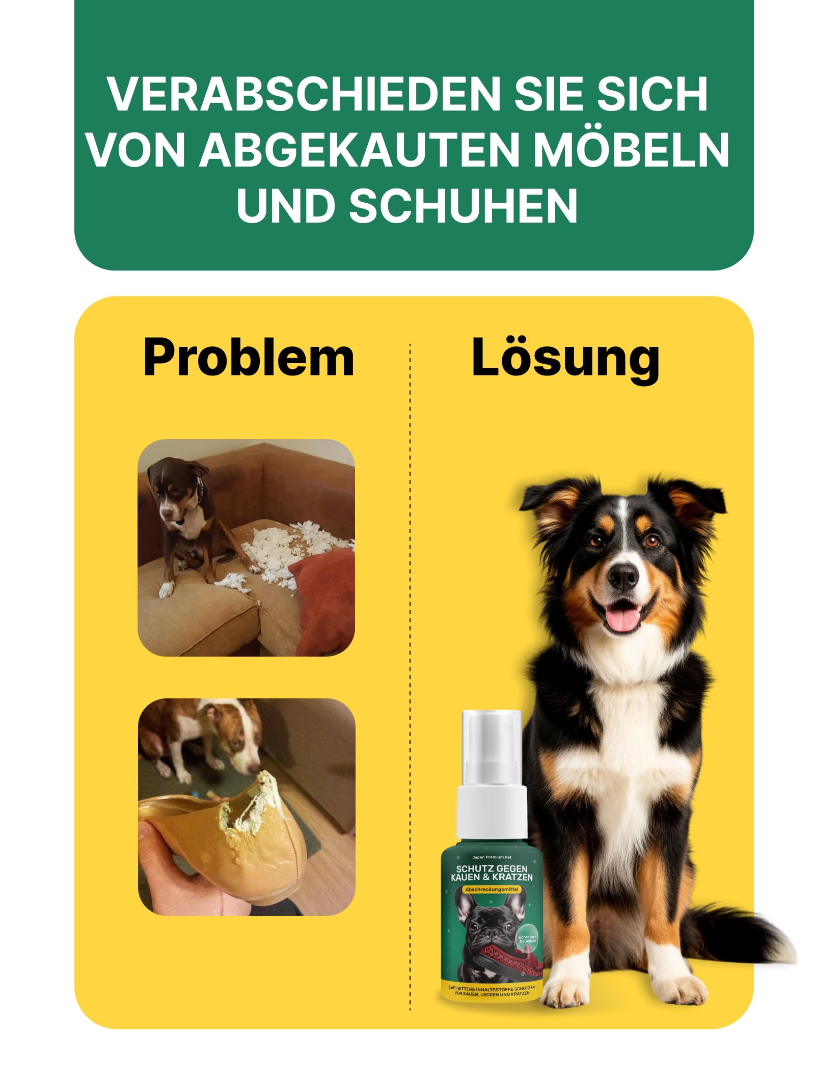 Spray Correcteur de Comportement pour Chien | Spray Répulsif pour Chien | Spray Anti-Mordillage | Spray d’Éducation Naturel pour Chien | Solution de Dressage | Spray Amer Sans Alcool 100 ml