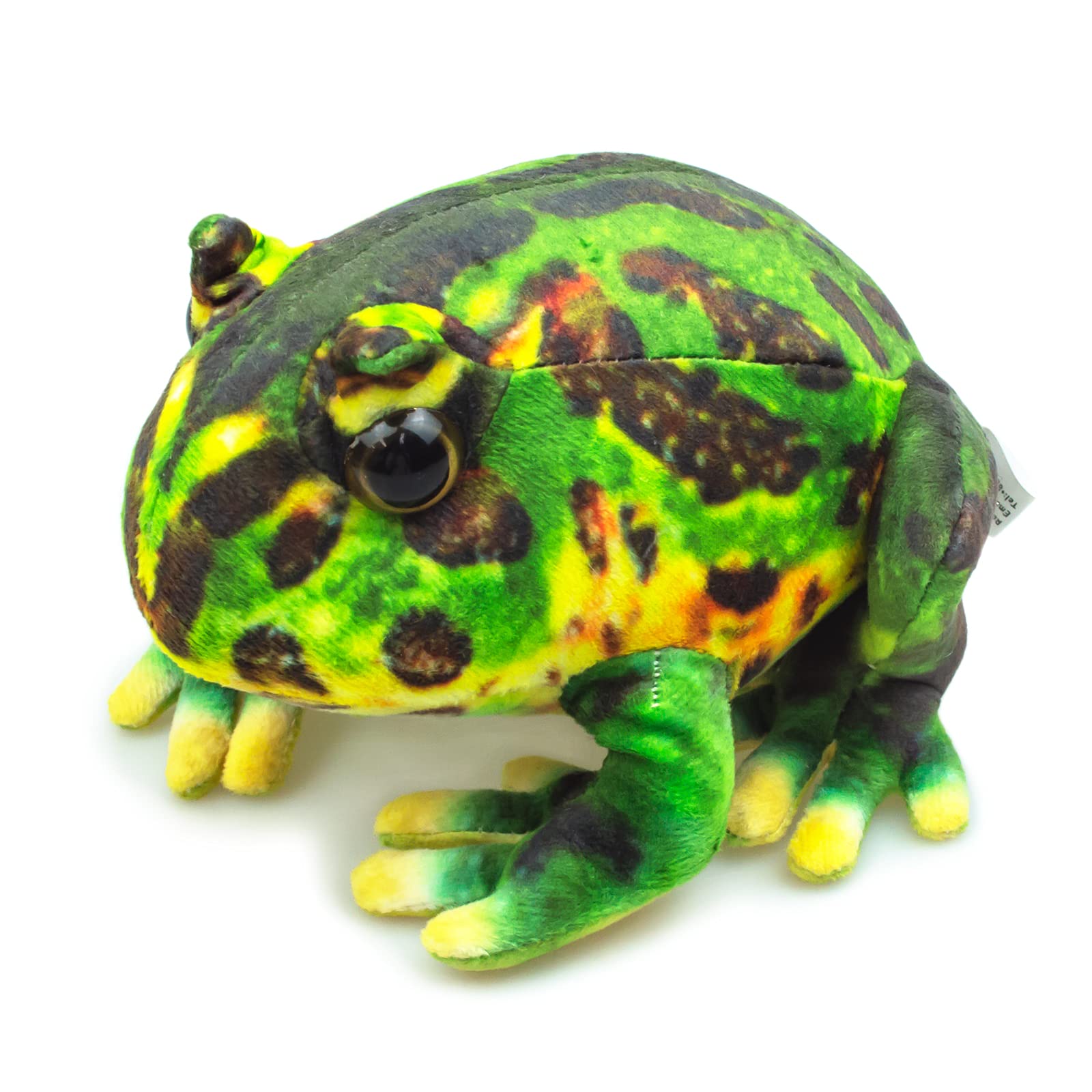 ベルツノガエル特大・緑 2個（ ベルツノガエル特大・緑 2個（ 【公式通販】