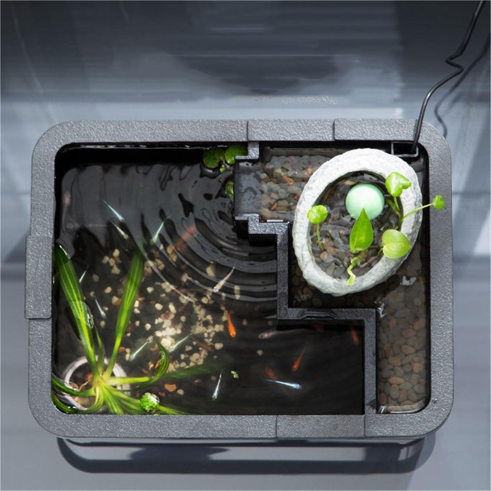 Siedlisko terrarium Pulpit Krajobraz Ekologiczna miska do karmienia czarnego żółwia Terrarium akwariowe