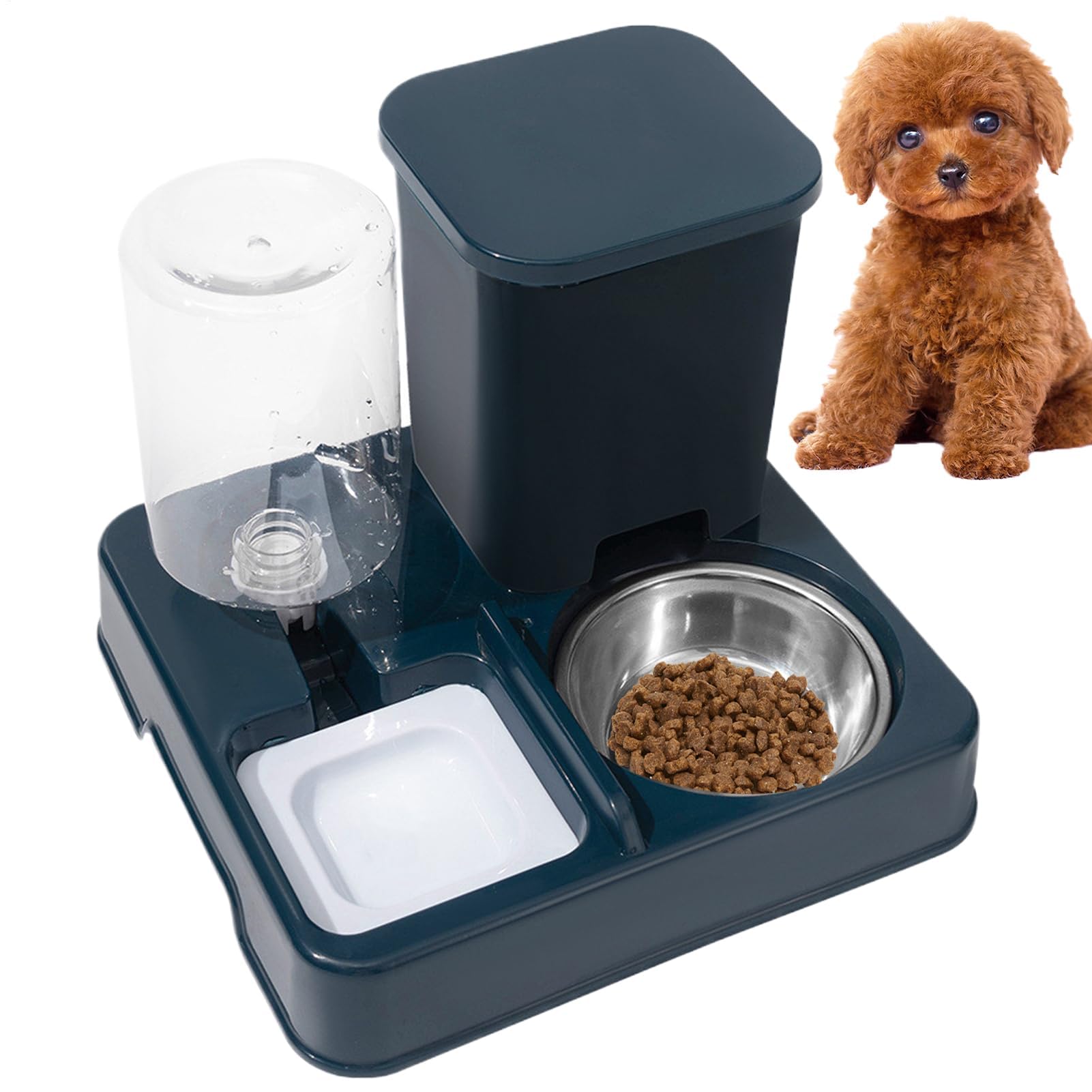 Distributore automatico di cibo e acqua for cani gatti(BLUE)