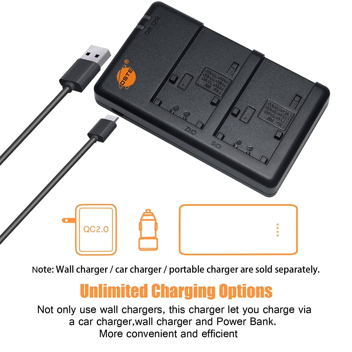 DSTE 2PCS NP-FV70 Batería de Cargador (2600mAh/7.4V) Compatible con Sony DCR-SX45 DCR-SX63 DCR-SX65 DCR-SX83 DCR-SX85 HDR-CX115
