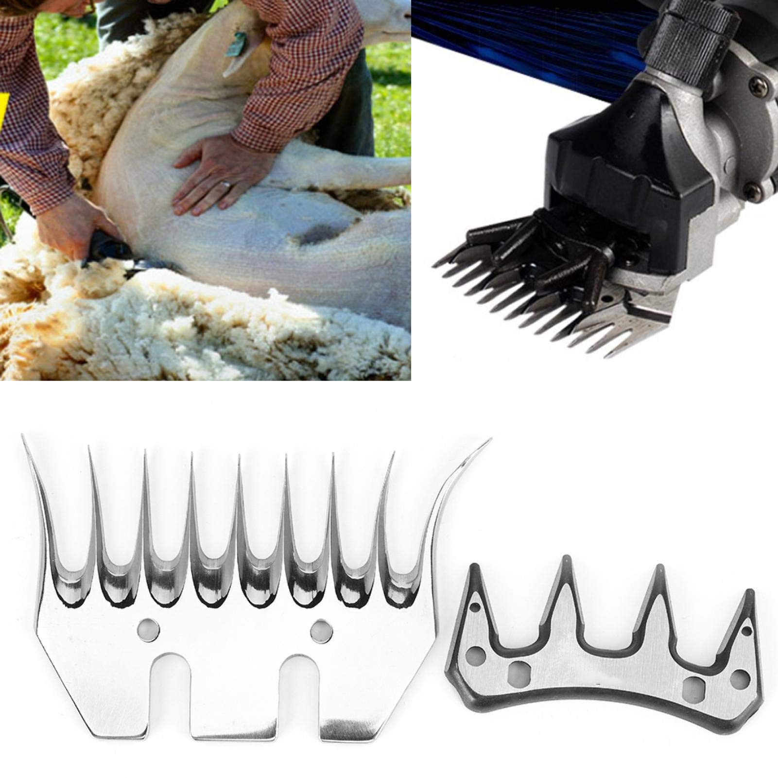 Cuchillas de Tijeras para ovejas, Cortador de Peine de Lana eléctrico de 13 Dientes/9 Dientes, Cuchillas de Corte Rectas/Curvas para el Cuidado de Cabras, corderos, Alpacas(9T Curvo)