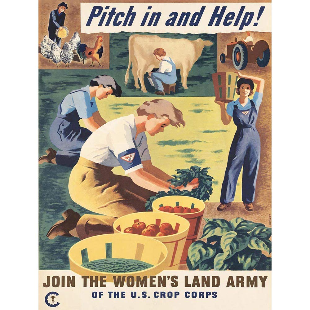 Artery8 Unframed Wall Art Wwii War Pitch Farm Vegetables Women Land Army Usa12X16 Inch from B&Q