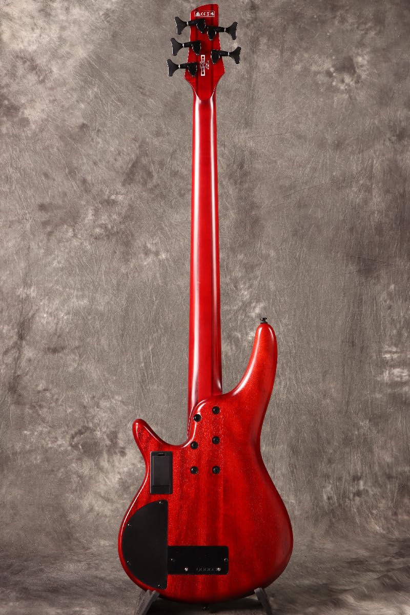 Ibanez SR Bass Workshop Fretless 5-string Electric Bass - Brown Topaz Burst Low Gloss