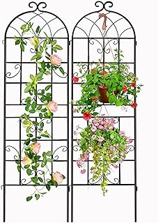 Garden Trellis 2-Pack, Rustproof Metal