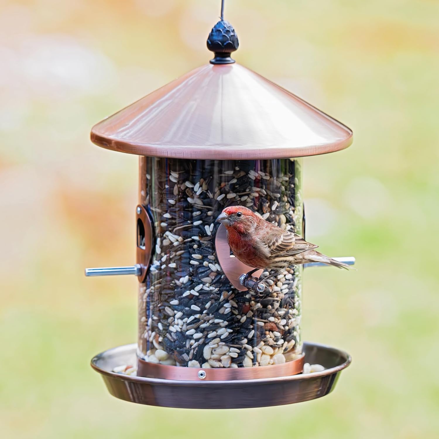 Kingsyard 4.5-Cups Large Metal Bird Feeders for Outdoors Hanging with 8 Ports, Tube Bird Feeder with Seed Tray, Weatherproof Squirrel Proof Roof for Cardinal Finch, Copper