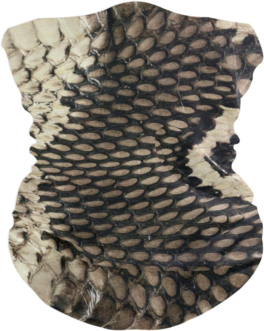 Cobra Snake Skin Outdoor Magic Headband Multifunctional Elastic Seamless Bandana Scarf UV Resistence Sport Headwear