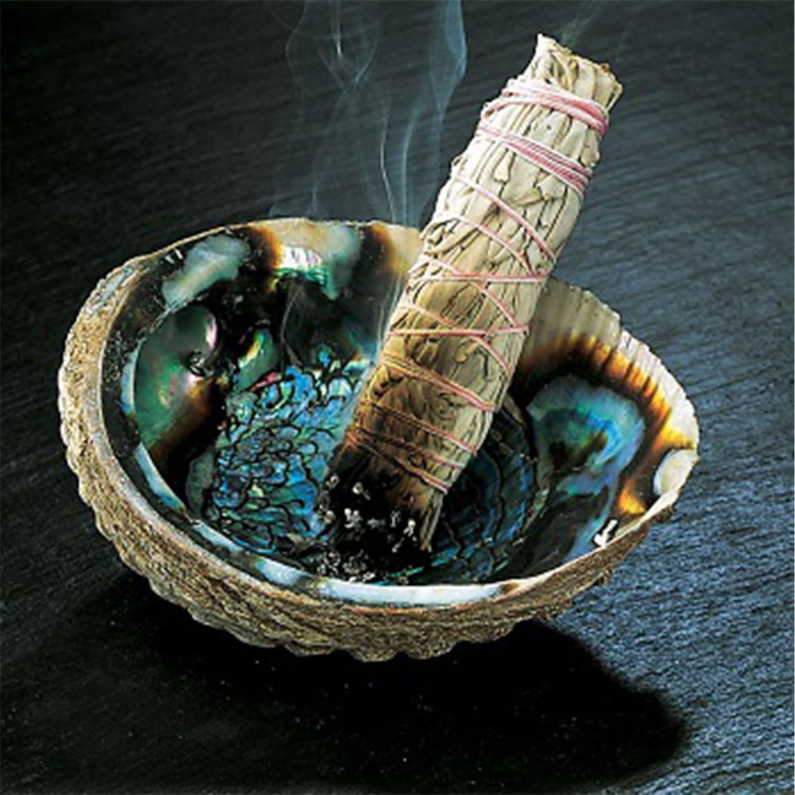 Biała szałwia 3 wiązki 10,2 cm i 2 palo Santo10 cm długa muszla Abalone 11 cm, zestaw do wędzenia pióra, zestaw do wędzenia, eliminuje negatywną energię, wspomaga rytuały medytacyjne