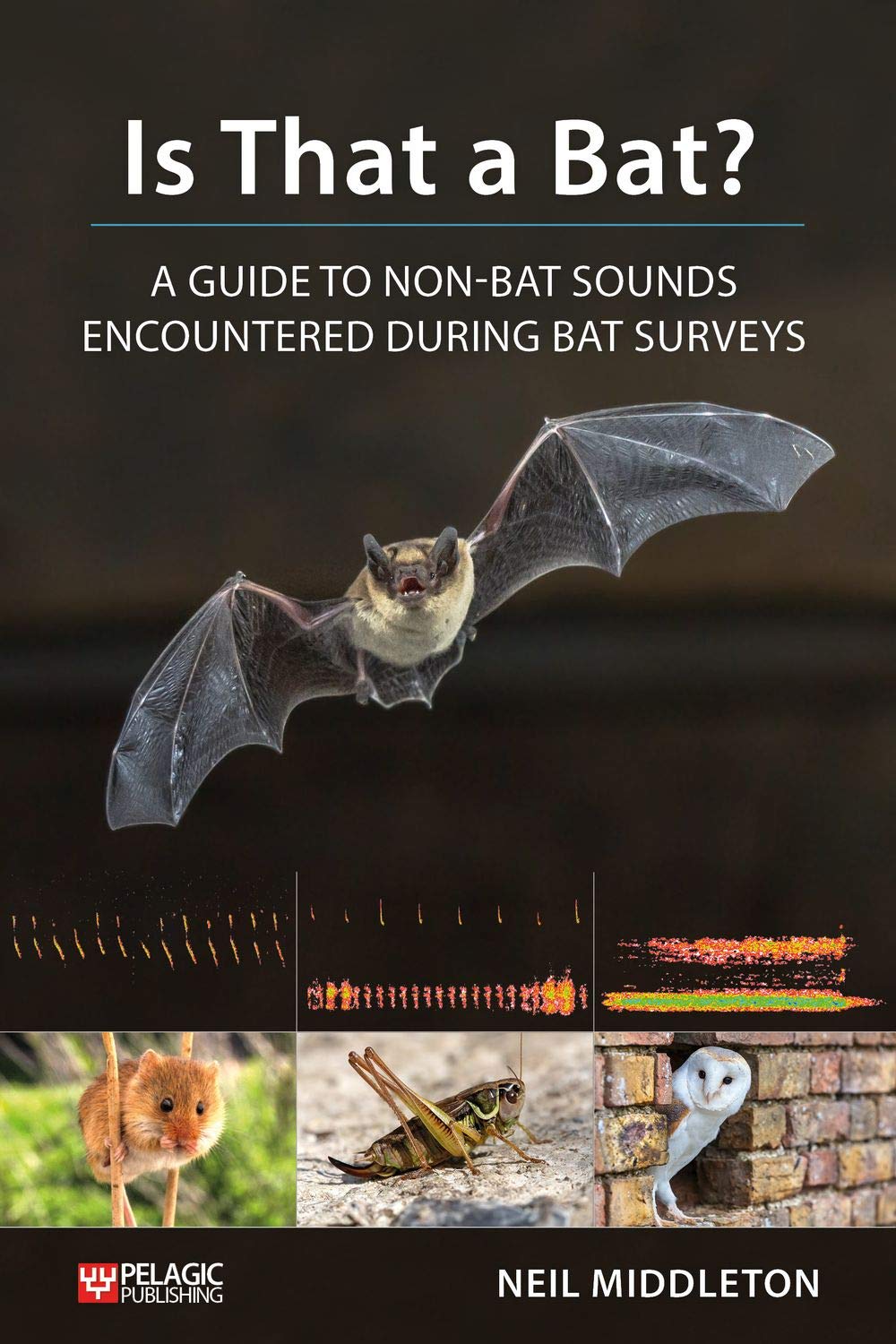 Is That a Bat? A Guide to Non-Bat Sounds Encountered During Bat Surveys (Bat Biology and Conservation)