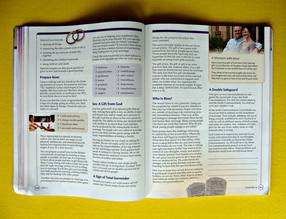 Jesus the Way, the Truth, and the Life: Grade 7 (Christ Our Life 2009) - Image 4