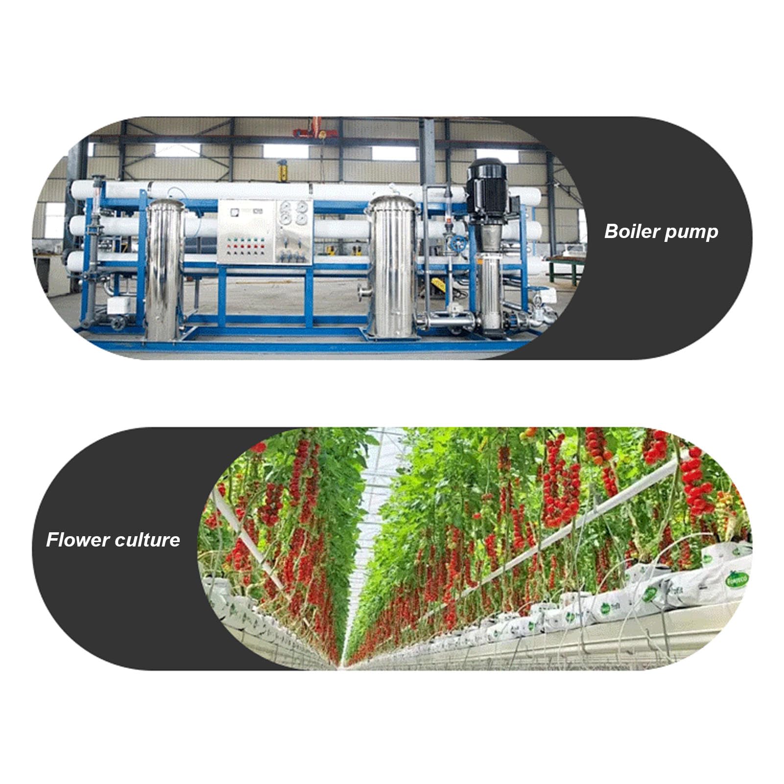Aramox Regolatore Digitale della Temperatura, Regolatore Termostato ABS con 4 Uscite relè, Risoluzione Display 0,1°F, Allarme e Sonda per Pannelli Pompe Caldaie Agricole in Serra (con sonda da 10 m)