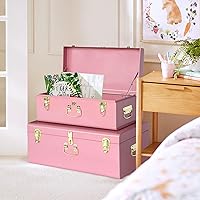 Vista 105 de Vixdonos Juego de 2 baúles decorativos de almacenamiento de caja de metal con asa (blanco con cierres de bronce)