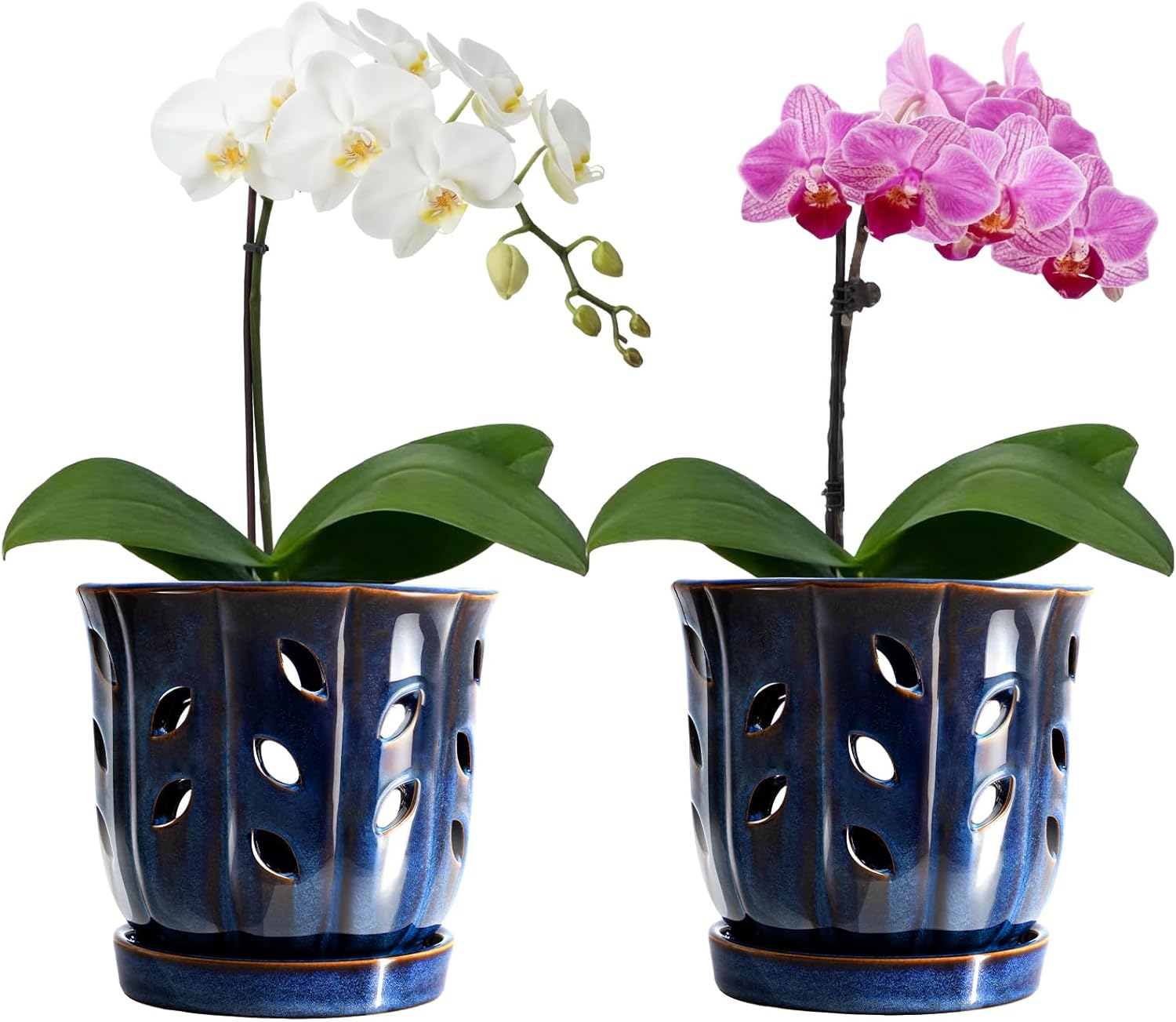 FoldTier 2 Pack 6.5 Inches Round Ceramic Orchid Pot with Holes and Saucers, Small Succulent Pot, Orchid Planter for Repotting, Healthy Root Growth, Promote Air Circulation, Plant Indoor and Outdoor