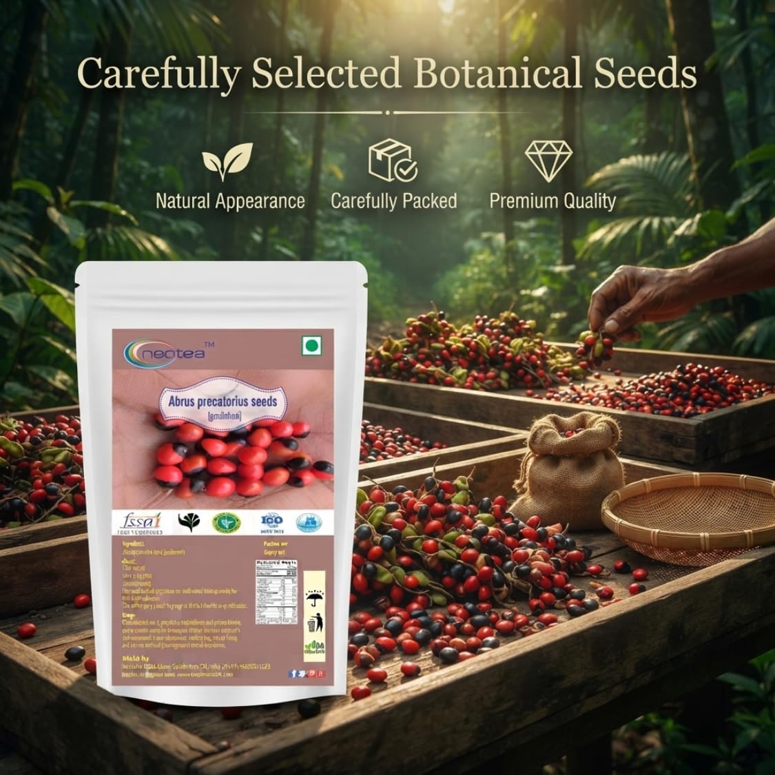 Neotea Abrus Precatorius Seeds, Gundumani, Gaunchi, 100 G 4