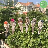 Vista 6 de LWINGFLYER 6 piezas de espuma artificial de simulación de pájaro gorrión adornos con clip en pájaros decorativos con plumas para decoración de árbol