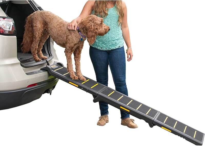 Amazon.ca dog ramps