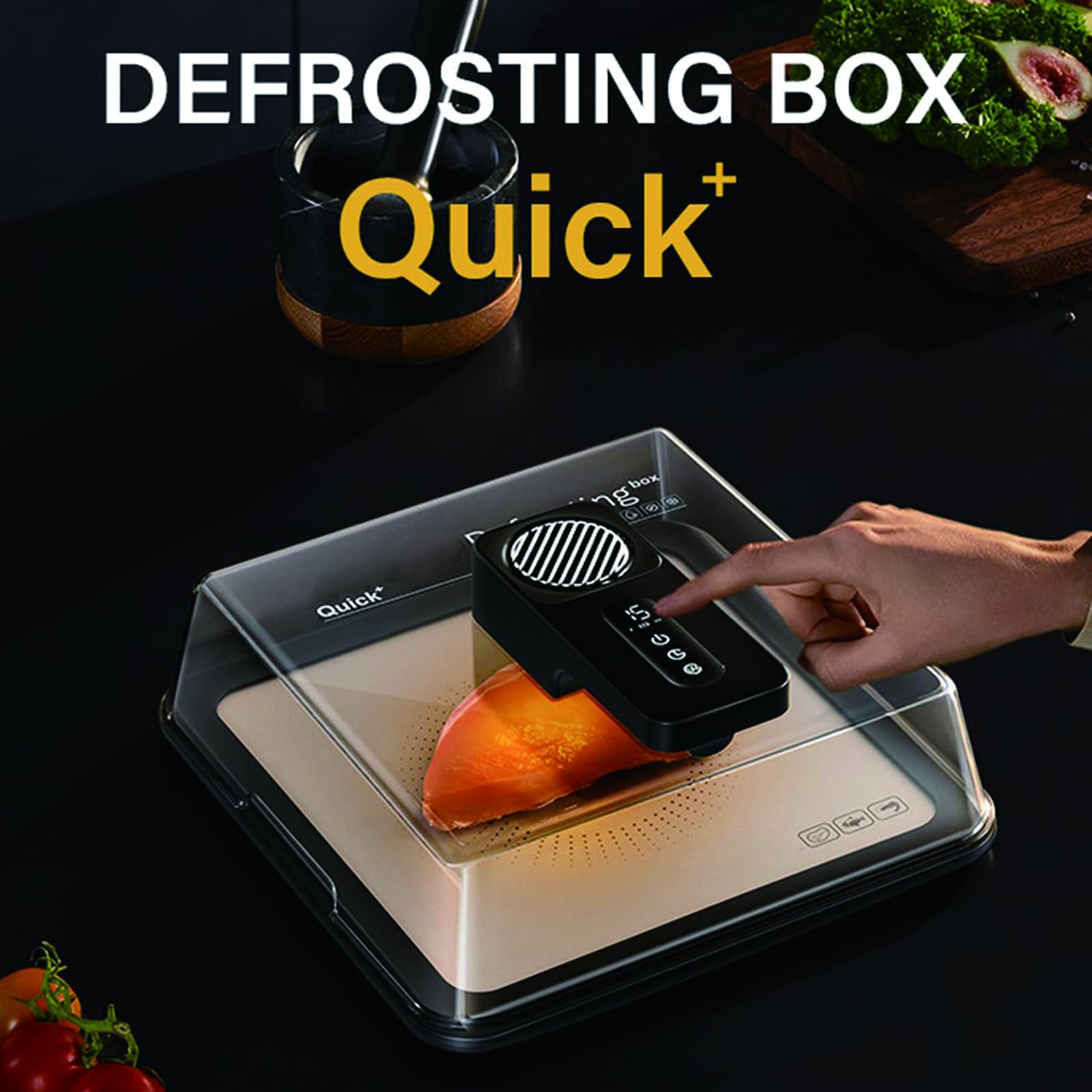 Vassoio elettrico per scongelare la carne da 4,2 l, con tecnologia di flusso d'aria e timer, piastra di sbrinamento ricaricabile tramite USB, per bistecca, pollo, pesce, frutti di mare, facile da