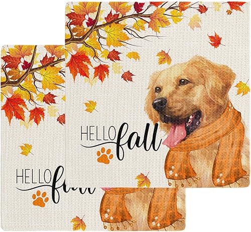 Artwork Store Paquete de 2 toallas de cocina de algodón con tejido de gofre, hojas de arce otoñales, perros, Acción de Gracias, absorbentes, de