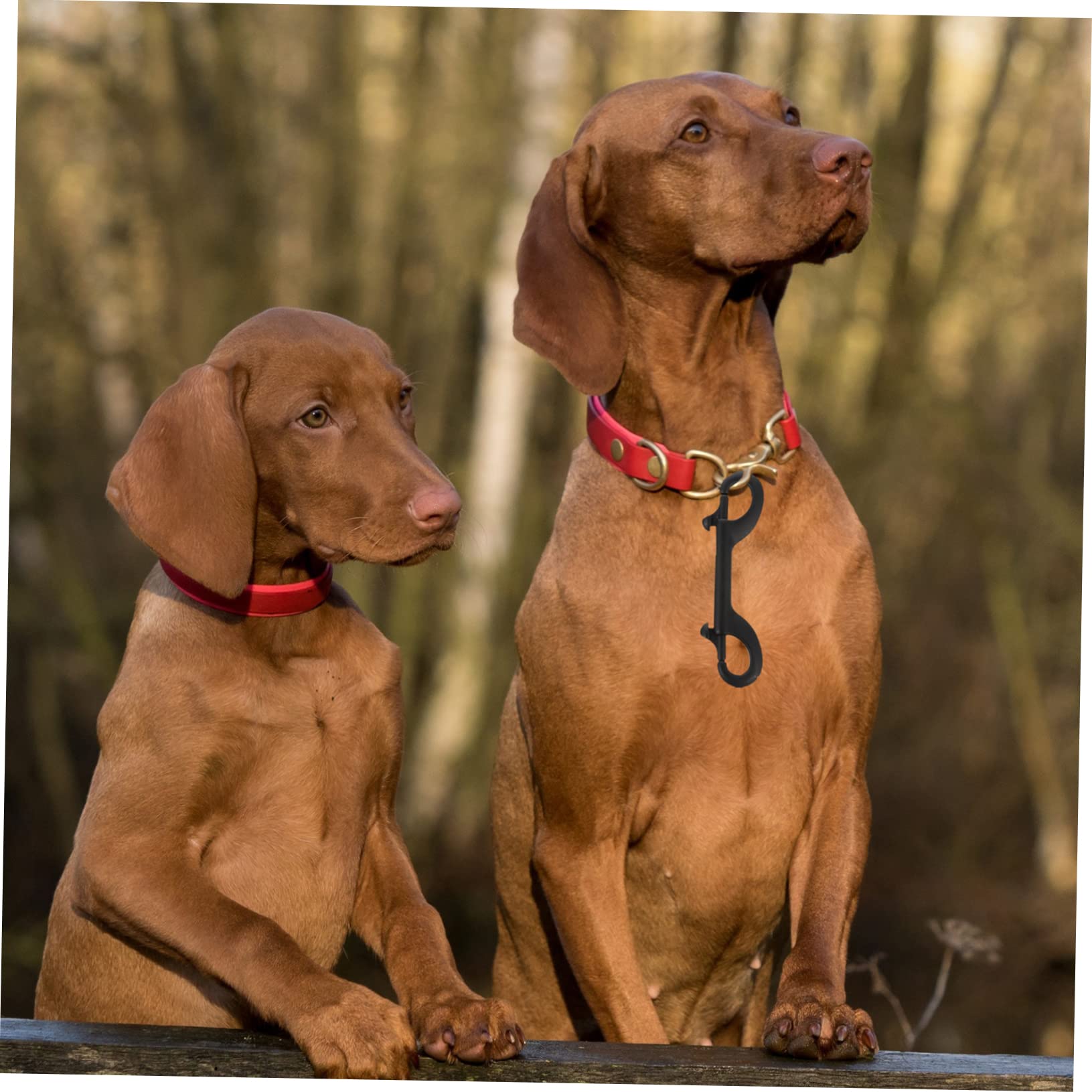 NAMOARLY 2 Pcs Double Hook Snap Clip Double Ended Buckle Clip Snap Fastener Double Ended Snap Hook Double End Snap Trigger Chain Clip Snap Buttons Heavy Duty Black Stainless Steel