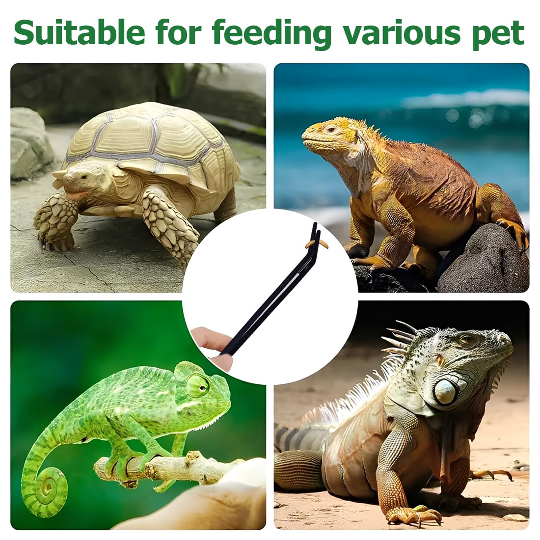 1 pièce Pince à Aquarium, Pince à Nourriture Longue en Acier Inoxydable pour Reptiles et Plantes Aquatiques (27 cm Courbée) (Noir)